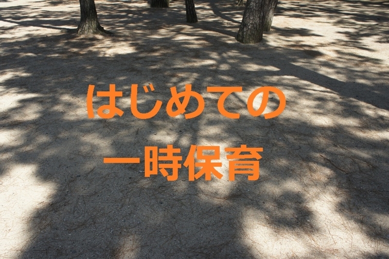 f:id:minimal-uuu:20170531230050j:plain f:id:minimal-uuu:20170531230050j:plain