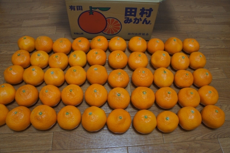 f:id:minimal-uuu:20171231172819j:plain