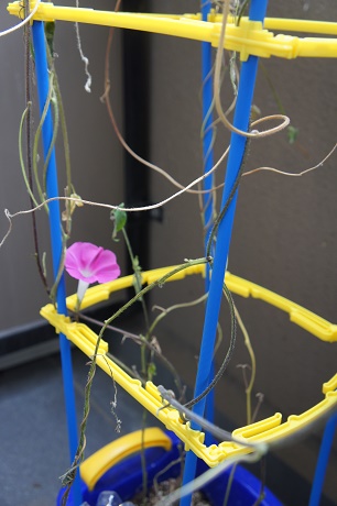 f:id:minimal-uuu:20180906114630j:plain