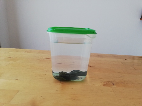 f:id:minimal-uuu:20200127104116j:plain f:id:minimal-uuu:20200127104116j:plain