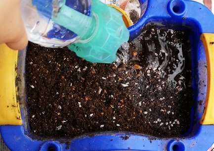 f:id:minimal-uuu:20210724145811j:plain