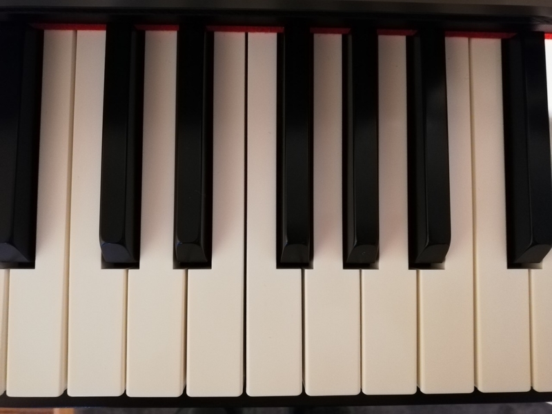 f:id:minimal-uuu:20220122183032j:plain