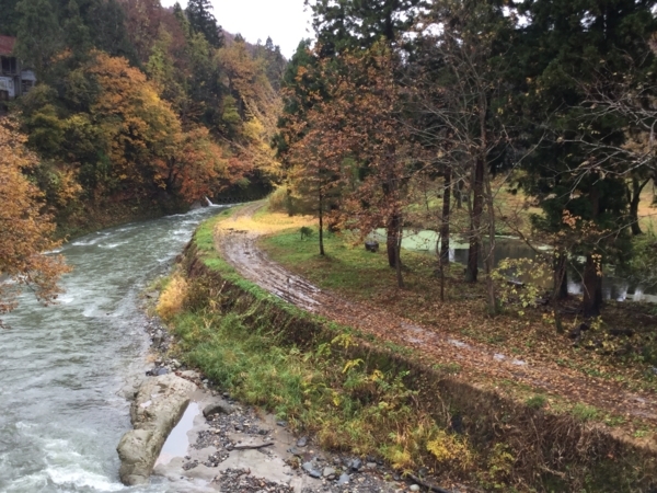 f:id:minimal1991:20171113122819j:plain