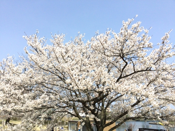 f:id:minimal1991:20180402121236j:plain f:id:minimal1991:20180402121236j:plain