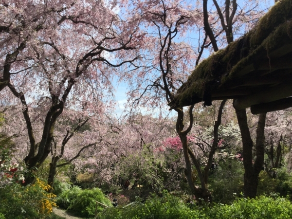 f:id:minimal1991:20180410071757j:plain f:id:minimal1991:20180410071757j:plain