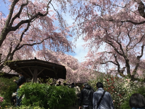 f:id:minimal1991:20180410071807j:plain f:id:minimal1991:20180410071807j:plain