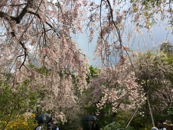 f:id:minimal1991:20180410072043j:plain f:id:minimal1991:20180410072043j:plain