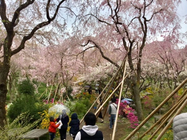 f:id:minimal1991:20180410072053j:plain f:id:minimal1991:20180410072053j:plain