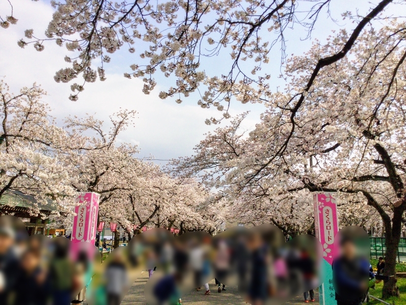 f:id:minimal1991:20190408114641j:plain f:id:minimal1991:20190408114641j:plain