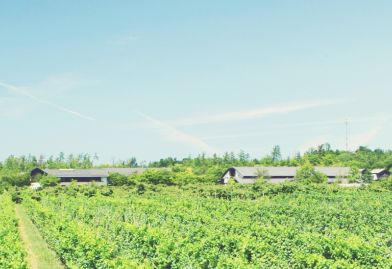 f:id:minimal1991:20190710140200j:plain f:id:minimal1991:20190710140200j:plain