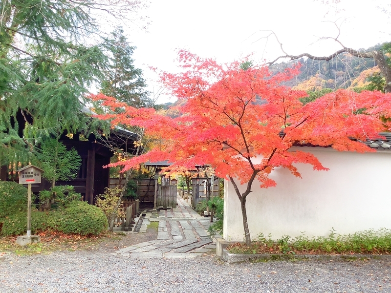 f:id:minimal1991:20191118112339j:plain