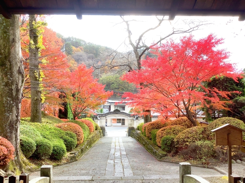 f:id:minimal1991:20191118112352j:plain