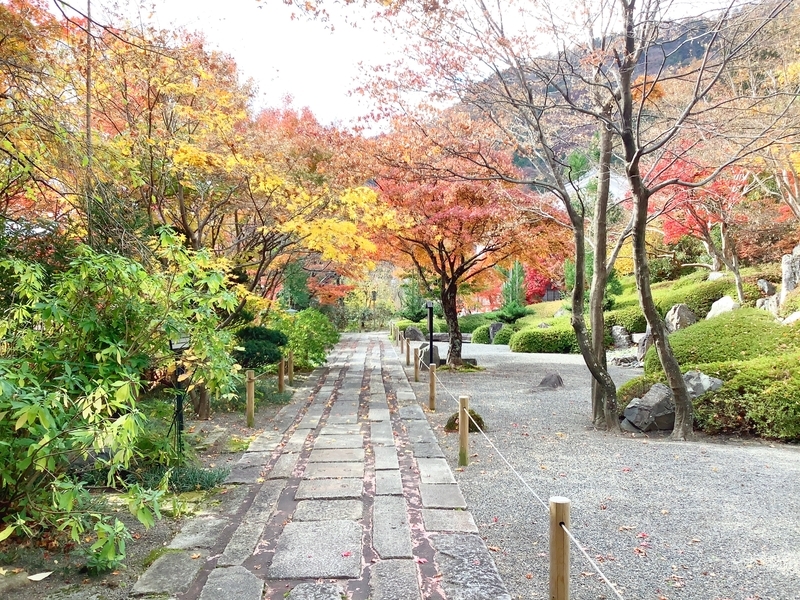 f:id:minimal1991:20191118112417j:plain