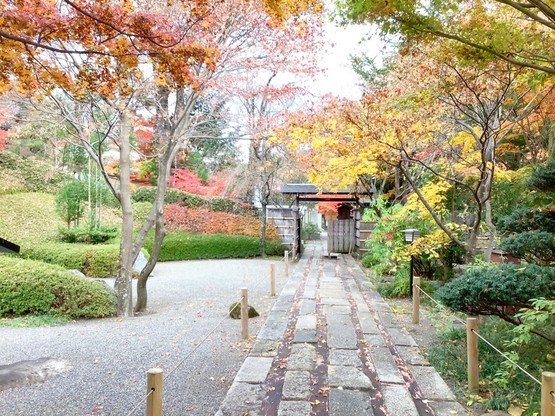 f:id:minimal1991:20191118112507j:plain