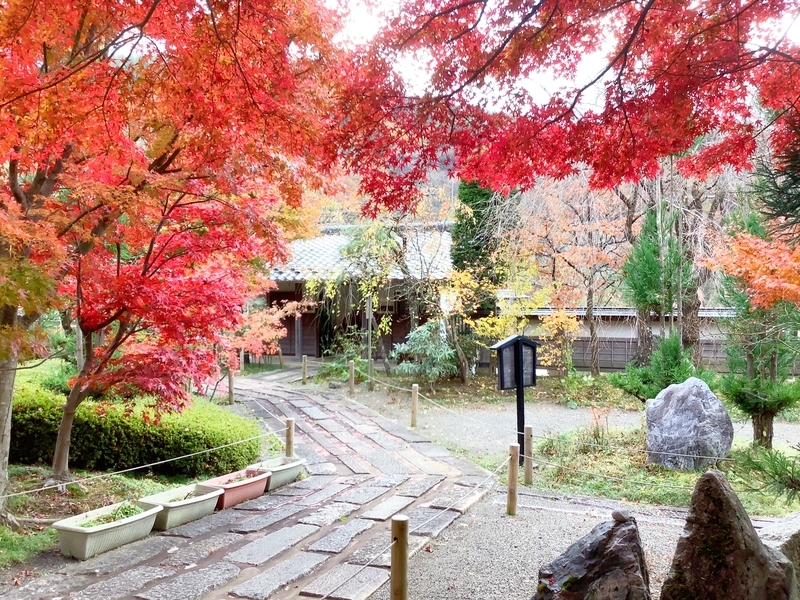 f:id:minimal1991:20191118112608j:plain