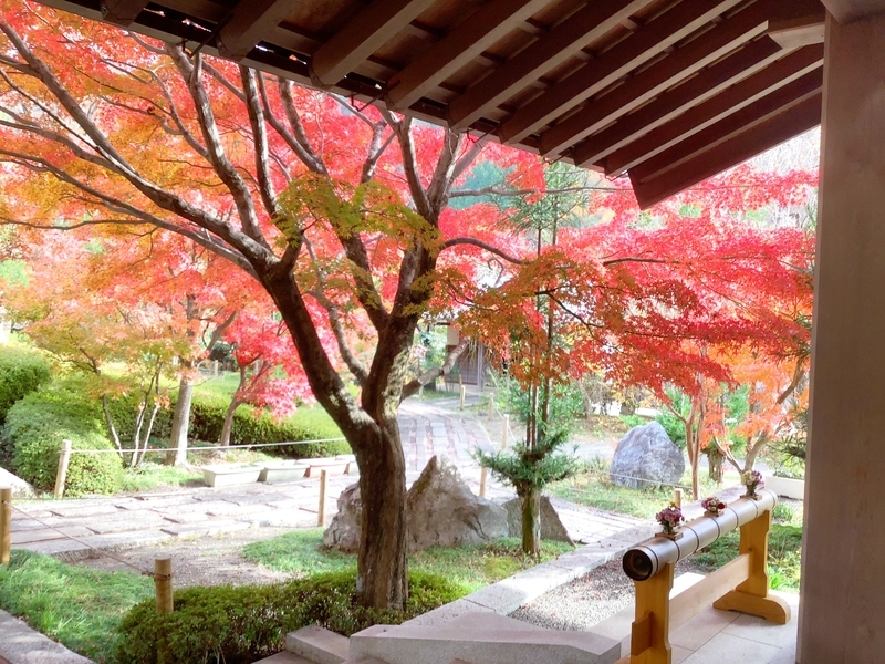 f:id:minimal1991:20191118112622j:plain