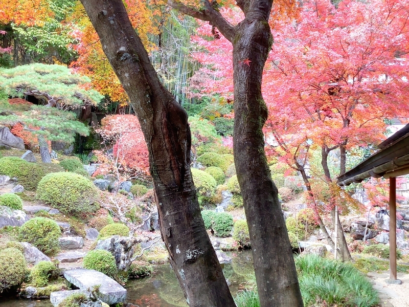 f:id:minimal1991:20191118112917j:plain