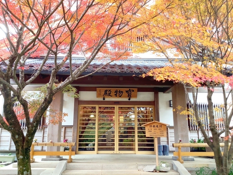 f:id:minimal1991:20191119115927j:plain