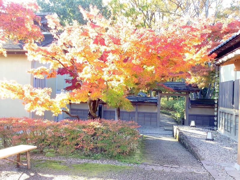 f:id:minimal1991:20191125093059j:plain f:id:minimal1991:20191125093059j:plain