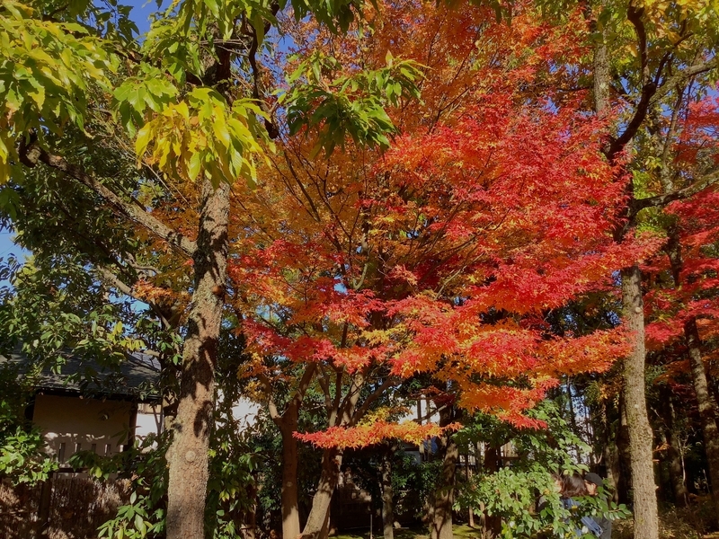 f:id:minimal1991:20191125093503j:plain f:id:minimal1991:20191125093503j:plain