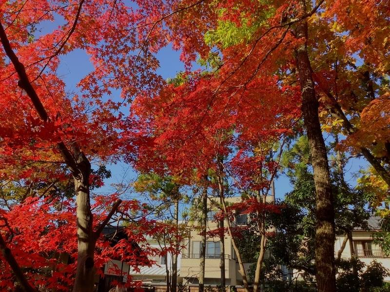 f:id:minimal1991:20191125093515j:plain f:id:minimal1991:20191125093515j:plain