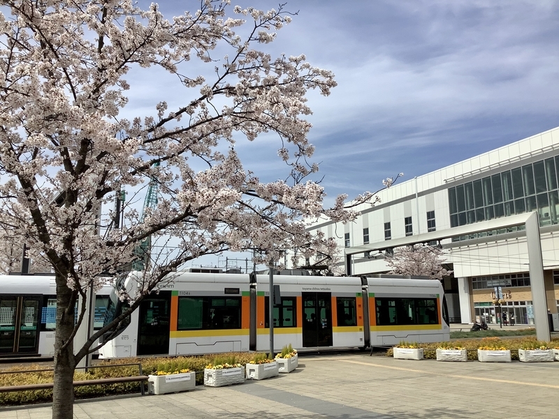 f:id:minimal1991:20200407160544j:plain