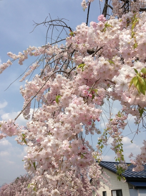 f:id:minimal1991:20200413122327j:plain