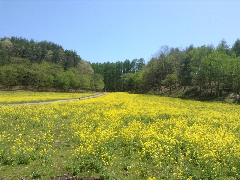 f:id:minimal1991:20200413142124j:plain f:id:minimal1991:20200413142124j:plain