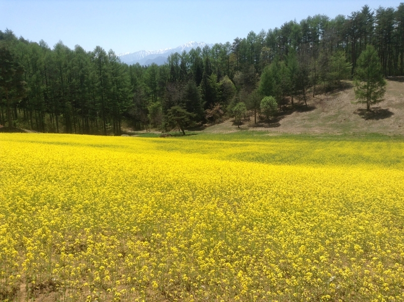 f:id:minimal1991:20200413142147j:plain f:id:minimal1991:20200413142147j:plain