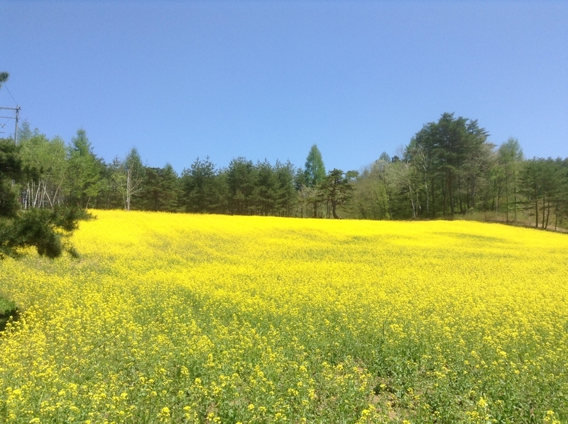 f:id:minimal1991:20200413142155j:plain f:id:minimal1991:20200413142155j:plain