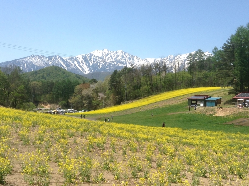 f:id:minimal1991:20200413142205j:plain f:id:minimal1991:20200413142205j:plain