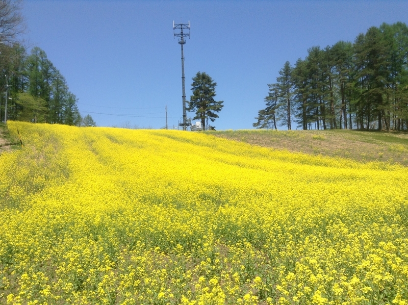 f:id:minimal1991:20200413142215j:plain f:id:minimal1991:20200413142215j:plain