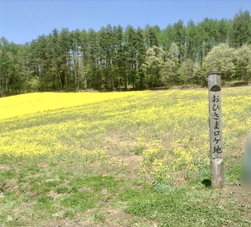 f:id:minimal1991:20200413142223j:plain f:id:minimal1991:20200413142223j:plain