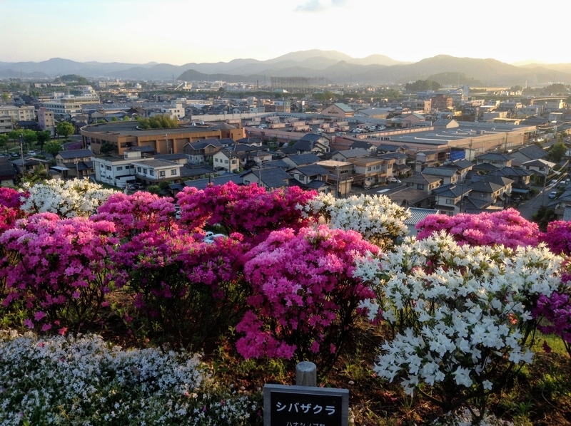 f:id:minimal1991:20200423191138j:plain