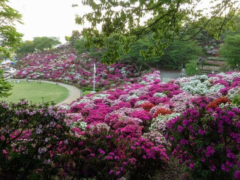 f:id:minimal1991:20200423191146j:plain