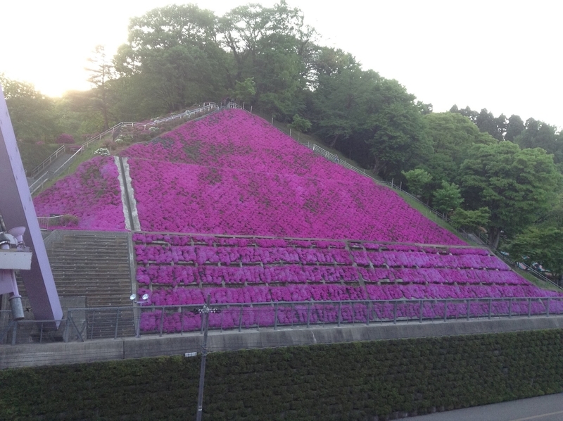 f:id:minimal1991:20200423191154j:plain