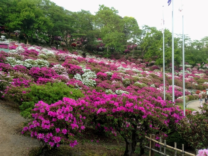 f:id:minimal1991:20200423191200j:plain