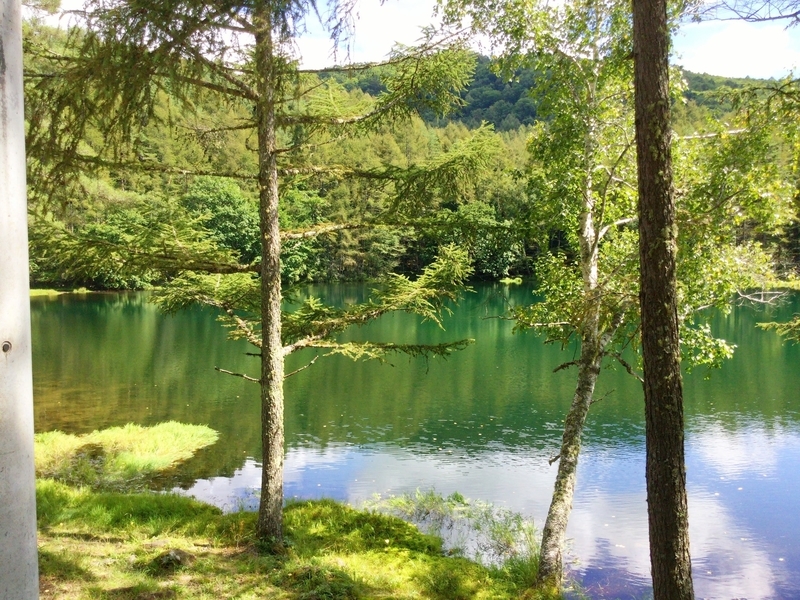 f:id:minimal1991:20200601165546j:plain