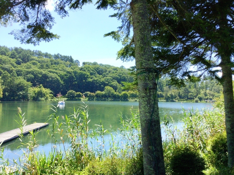 f:id:minimal1991:20200601165554j:plain