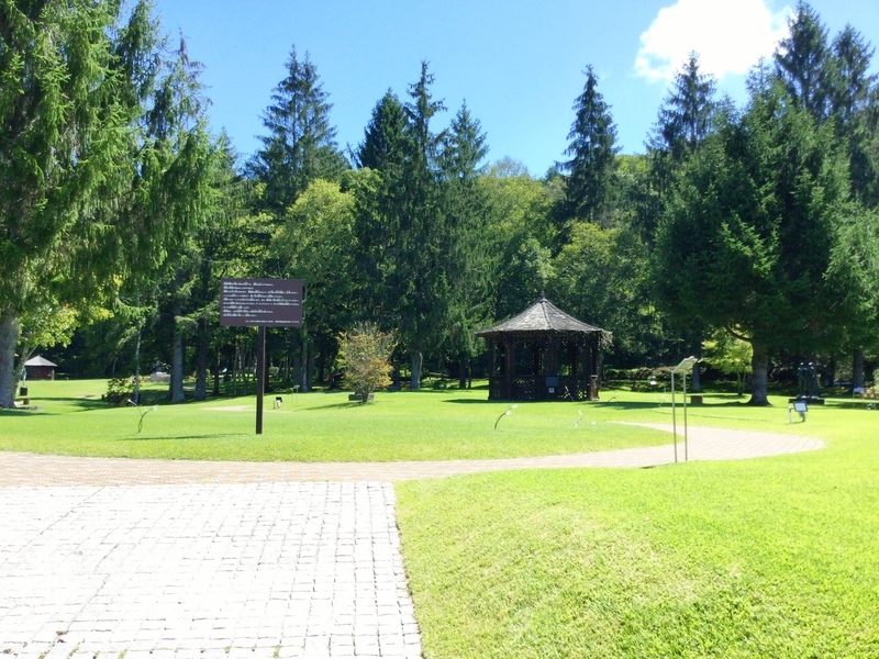 f:id:minimal1991:20200601165619j:plain