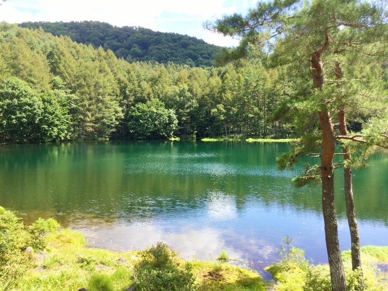 f:id:minimal1991:20200601165629j:plain