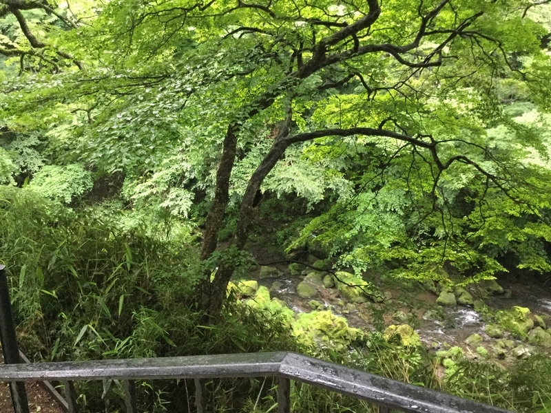 f:id:minimal1991:20200604120928j:plain