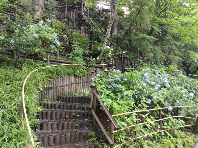 f:id:minimal1991:20200604120940j:plain