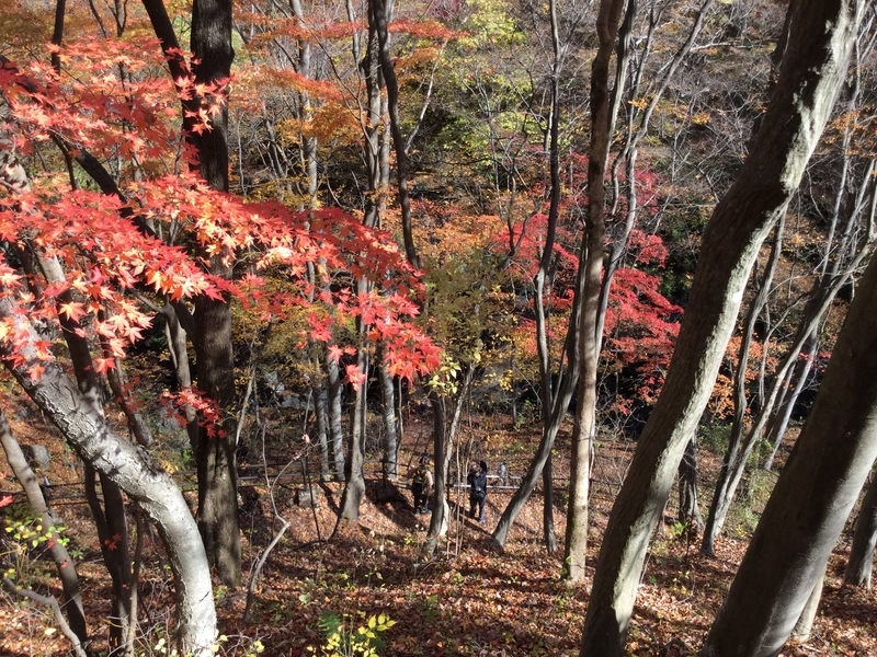 f:id:minimal1991:20200604134450j:plain