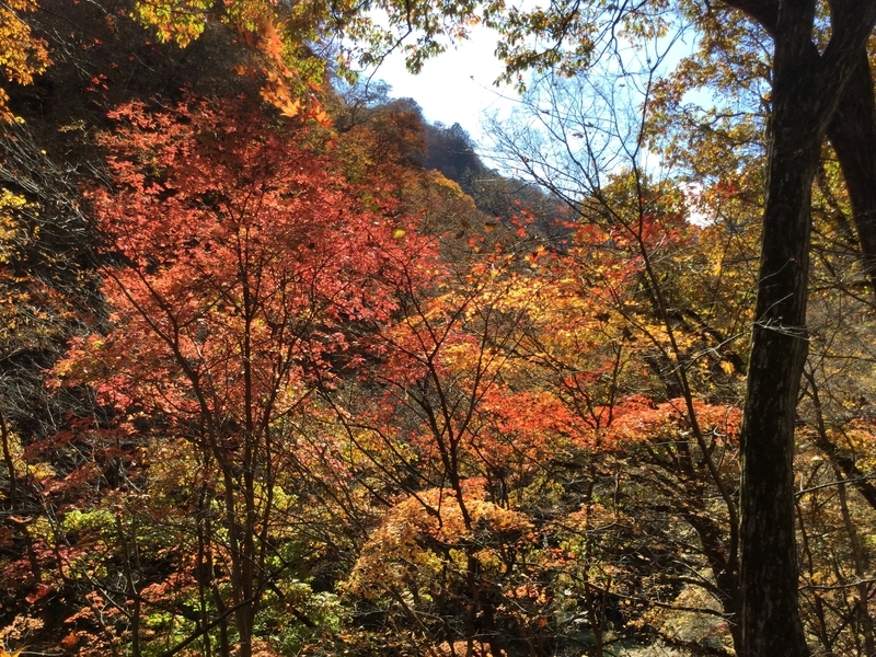 f:id:minimal1991:20200604134503j:plain