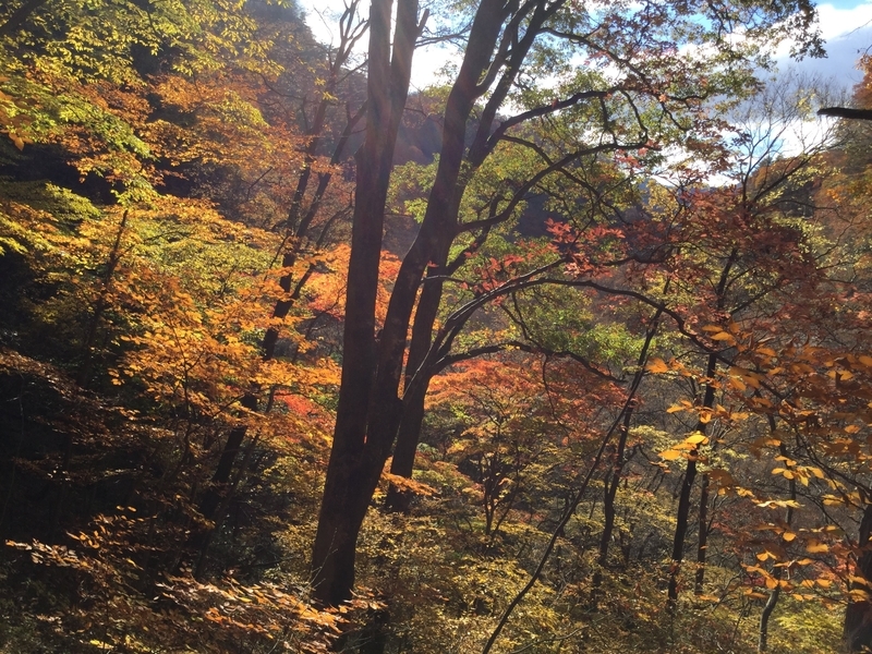 f:id:minimal1991:20200604134515j:plain