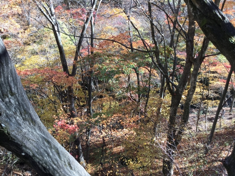 f:id:minimal1991:20200604134528j:plain