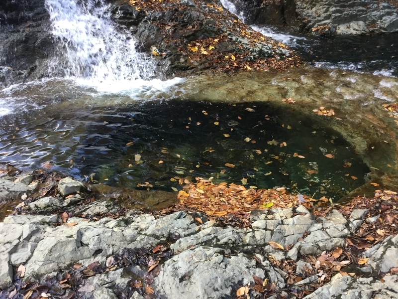 f:id:minimal1991:20200604134606j:plain