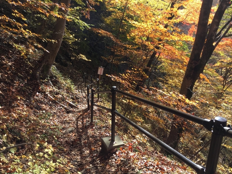 f:id:minimal1991:20200604134646j:plain