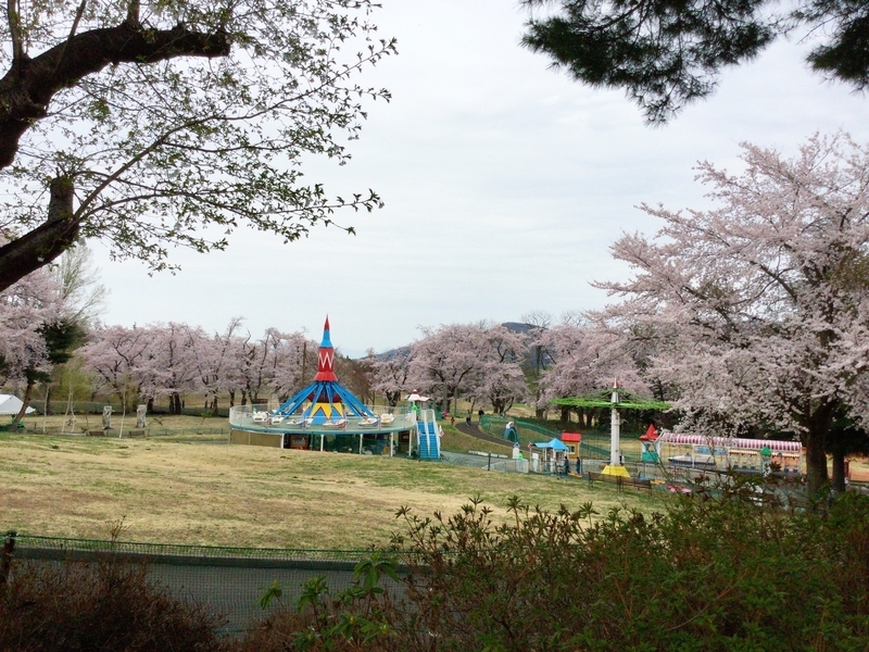 f:id:minimal1991:20200604140832j:plain f:id:minimal1991:20200604140832j:plain